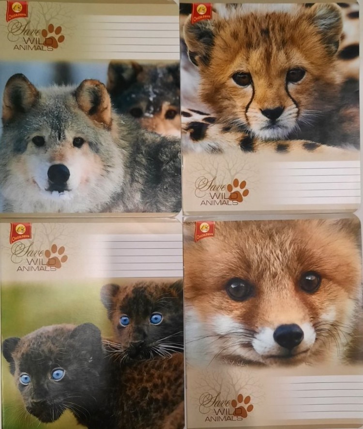 Тетрадь 12 листов линия МЗ