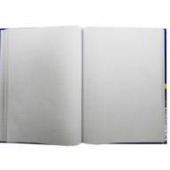 Тетрадь амбарная А4 192 листа в клетку твердая обложка BuroMAX BM2404 - Тетрадь амбарная А4 192 листа в клетку твердая обложка BuroMAX BM2404 интернет магазин loutchik.com