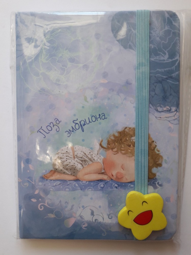 Блокнот В6 в клетку 80 листов твердая обложка на резинке 8402-18А AXENT