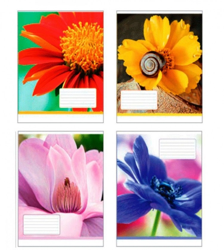 Тетрадь 24 листа клетка Полиграфист