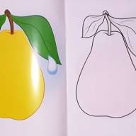 Раскраска для малышей по образцу 4+ А5 8 листов - Раскраска для малышей по образцу 4+ А5 интернет магазин loutchik.com