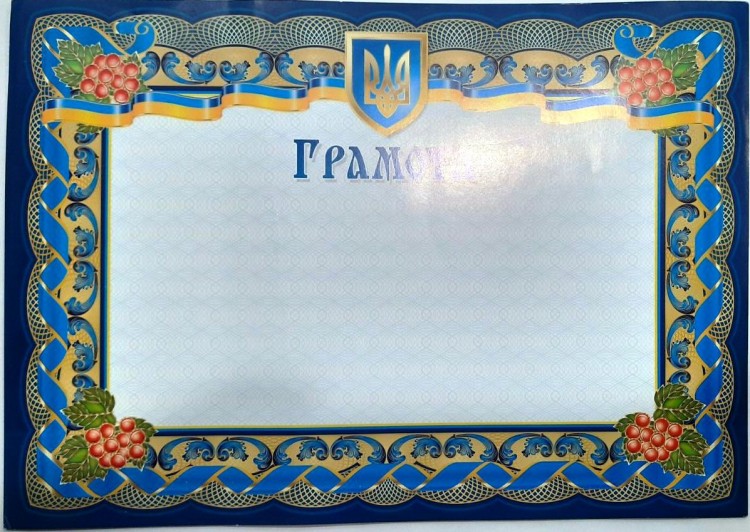 Грамота универсальная глянцевая А4 пл 200гр/м2