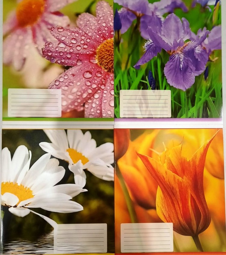 Тетрадь 24 листа клетка Полиграфист