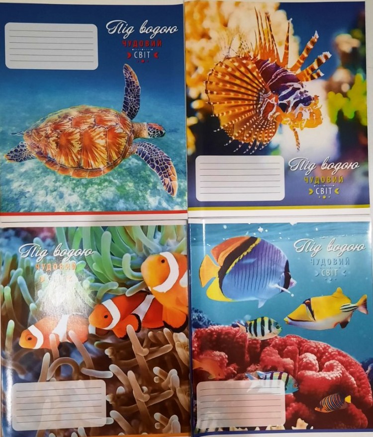 Тетрадь 24 листа клетка Полиграфист