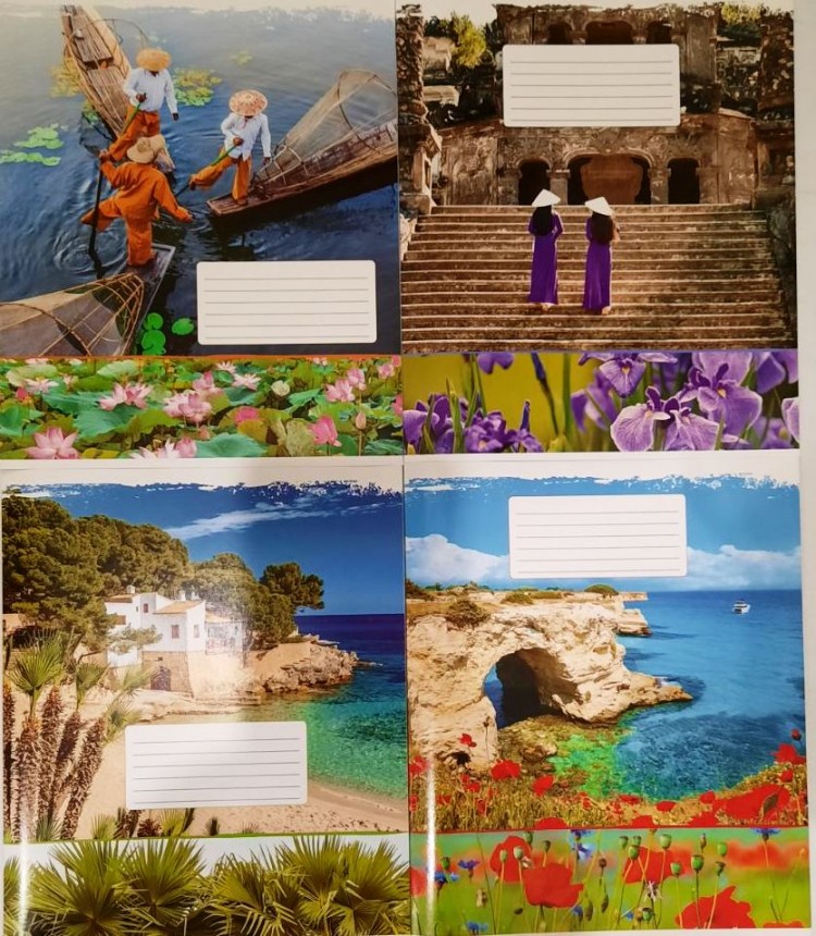 Тетрадь 24 листа клетка Полиграфист