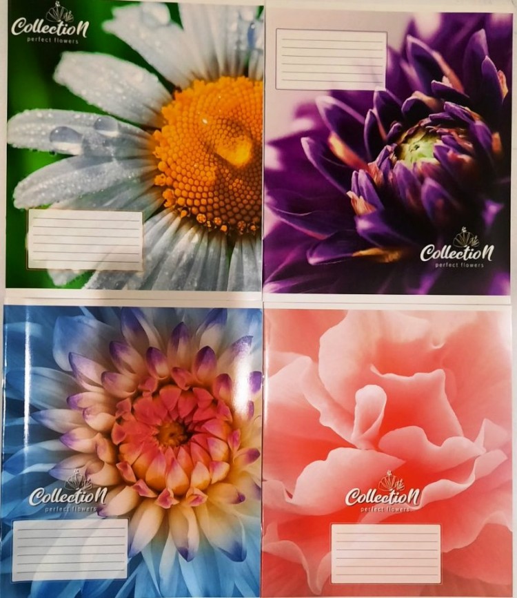 Тетрадь 24 листа линия Полиграфист