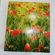 Папка с верхним прижимом картонная А4 - Папка с верхним прижимом картонная А4 интернет магазин loutchik.com