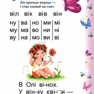 Буквар Читайлик А4 тверда обкладинка В. Федієнко  - Буквар Читайлик А4 тверда обкладинка В. Федієнко  интернет магазин loutchik.com