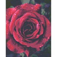 Набор алмазная мозаика "Идейка" 40-50 см.*Роза с каплями росы*