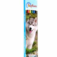 Карандаши цветные *Барвінок* 6 цветов. - Карандаши цветные *Барвінок* 6 цветов. Быстрая доставка,лучшее качество,характеристики,описание.  Купить по
выгодной цене в интернет-магазине  loutchik.com  0970950463