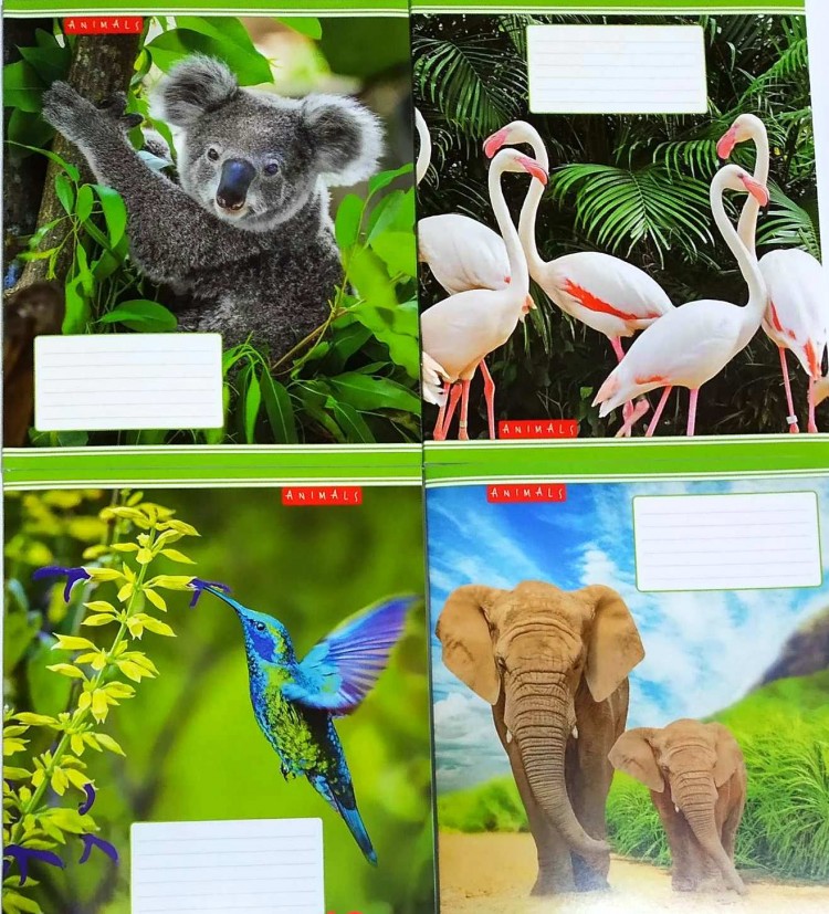 Тетрадь 48 листов клетка Полиграфист