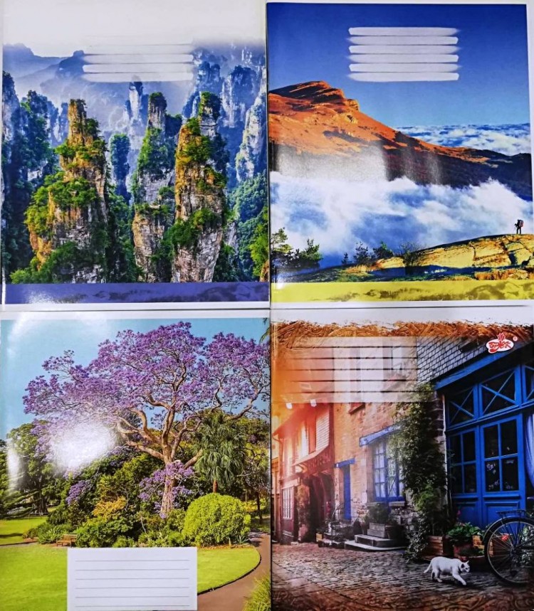 Тетрадь 60 листов клетка Бриск